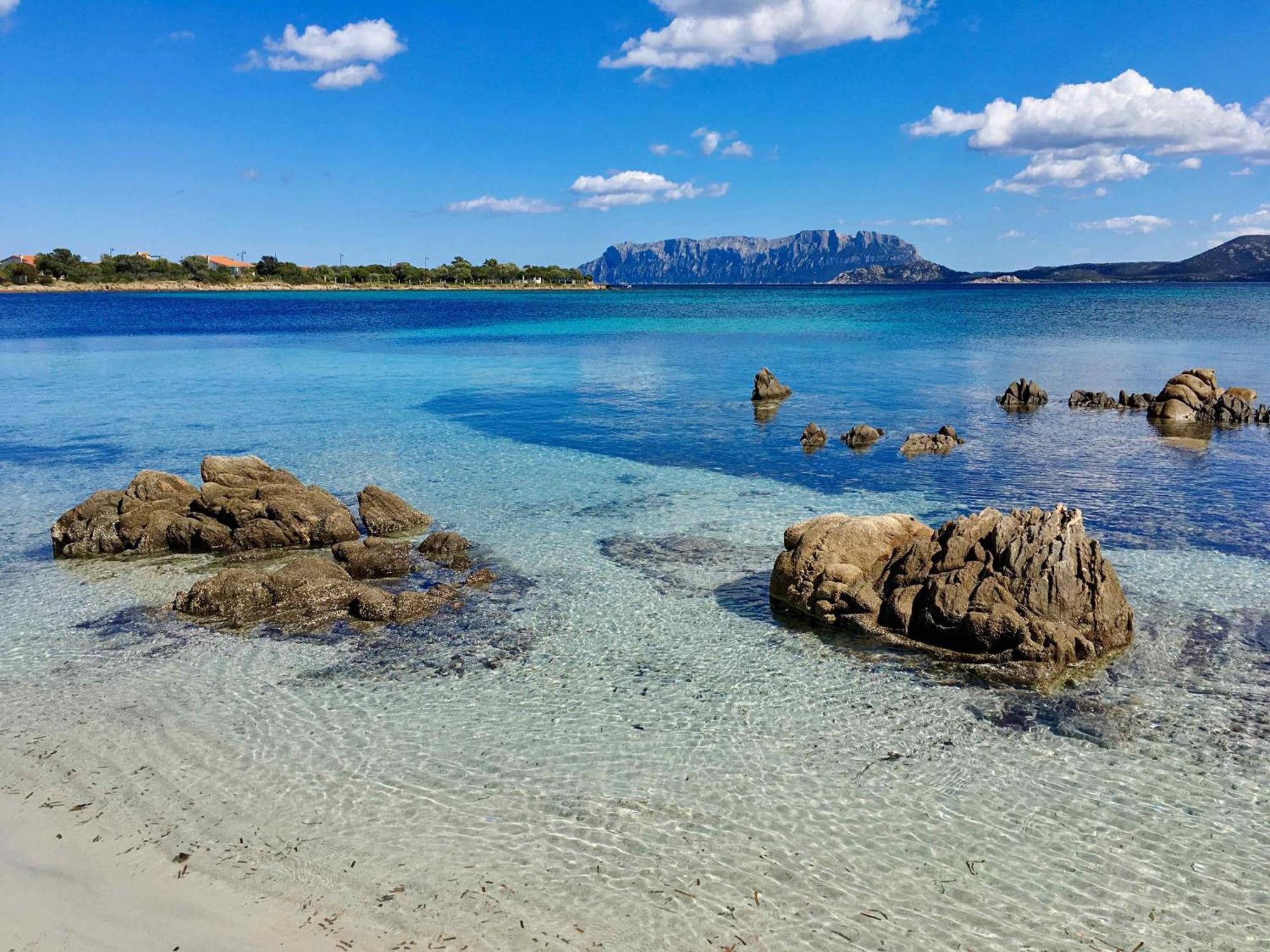 Casa Delle Brezze - A Due Passi Dalla Riva * Olbia
